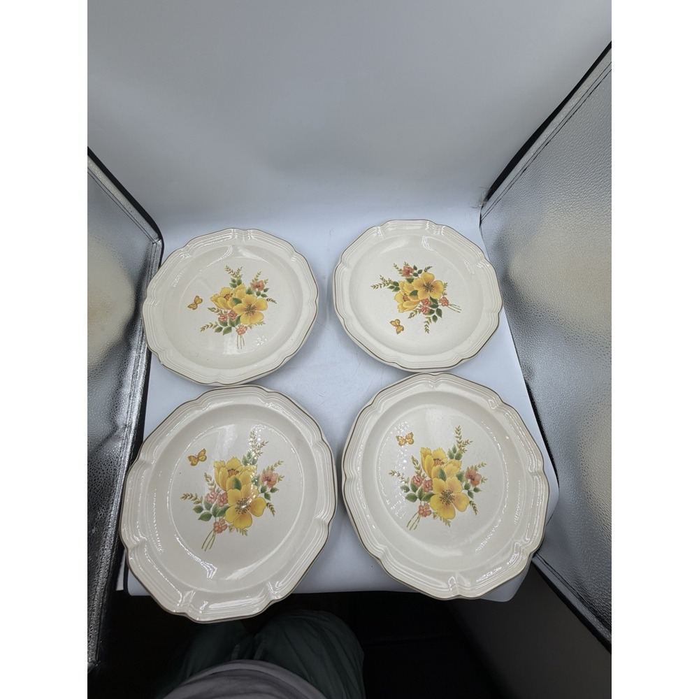 Sangostone Butterfly II 10.25"in Dinner Plate Set Of 4